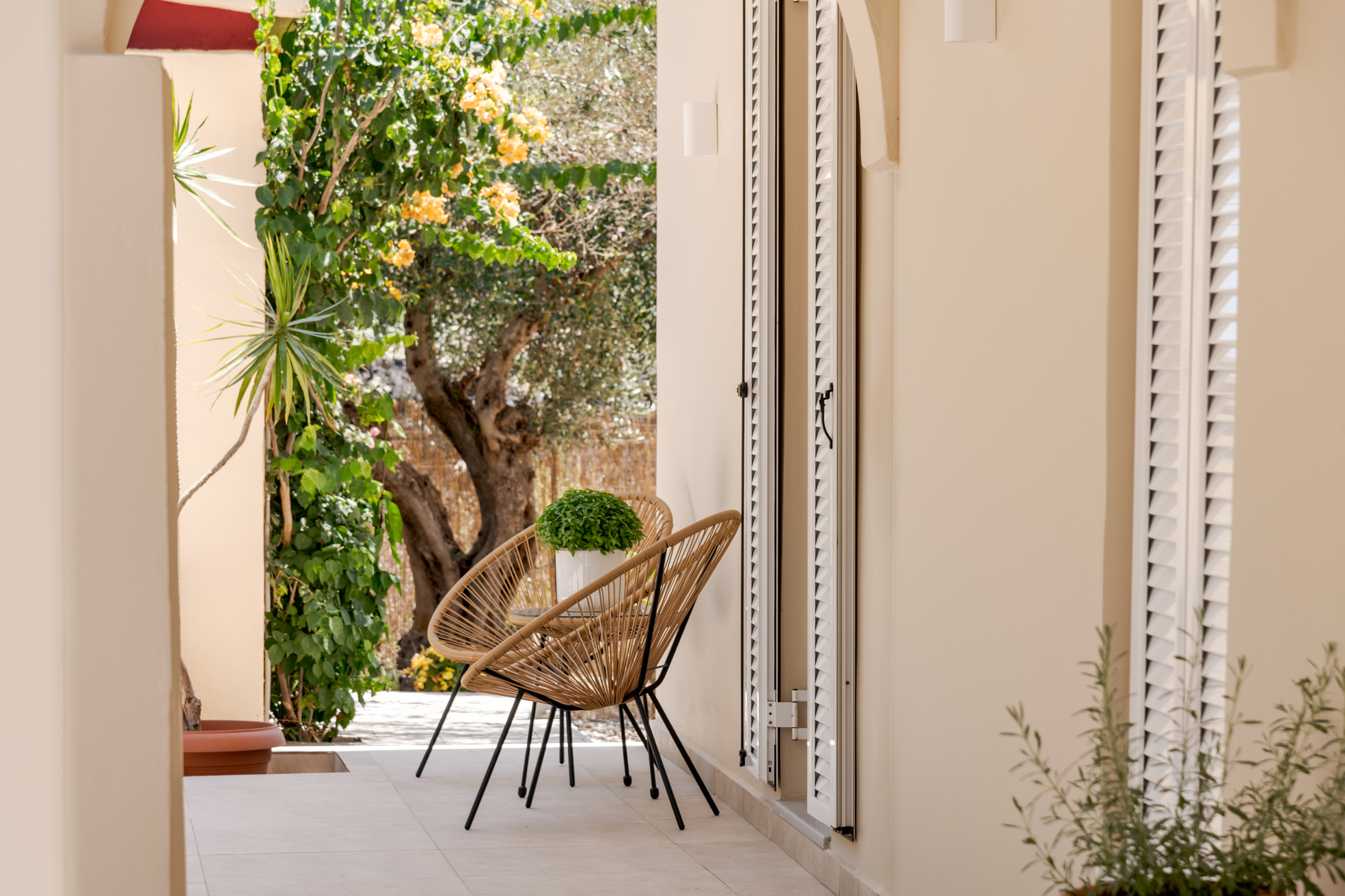Private garden adjoining the residence